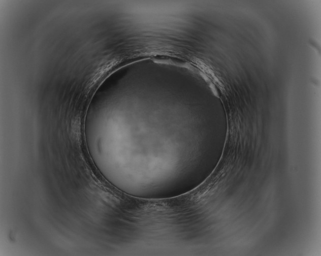 X0000091710386200709071417