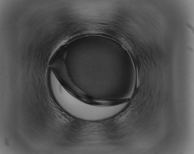 X0000091710387200709071417