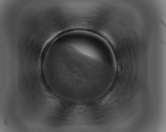 X0000091710388200709071417