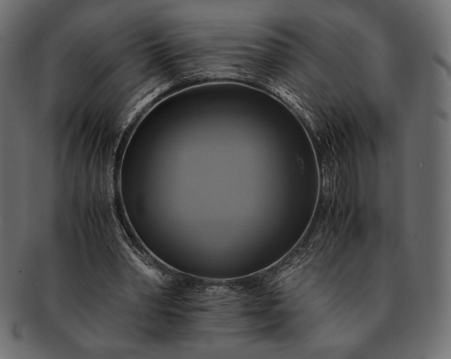 X0000091710390200709071417