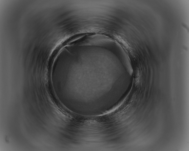 X0000091710392200709071417