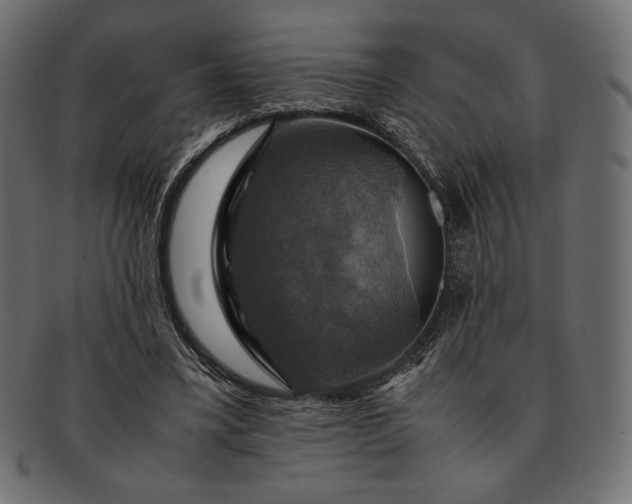 X0000091710395200709071417