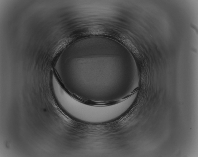 X0000091710397200709071417