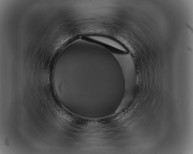 X0000091710399200709071417