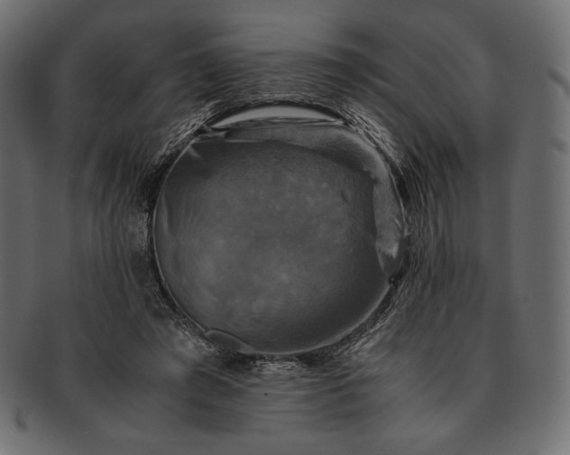 X0000091710401200709071417