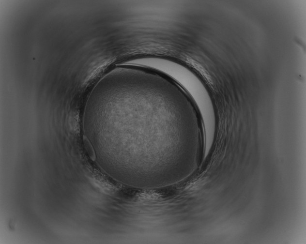 X0000091710403200709071417