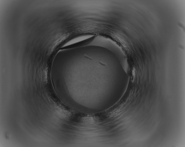 X0000091710404200709071417