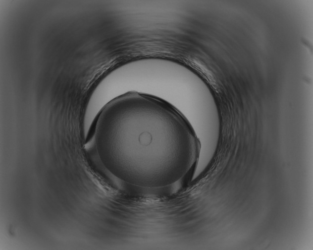 X0000091710405200709071417