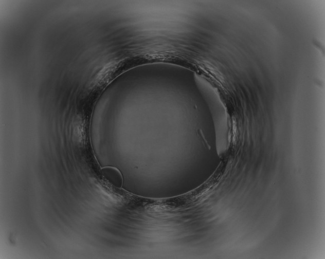 X0000091710408200709071417