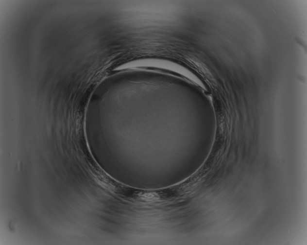 X0000091710409200709071417