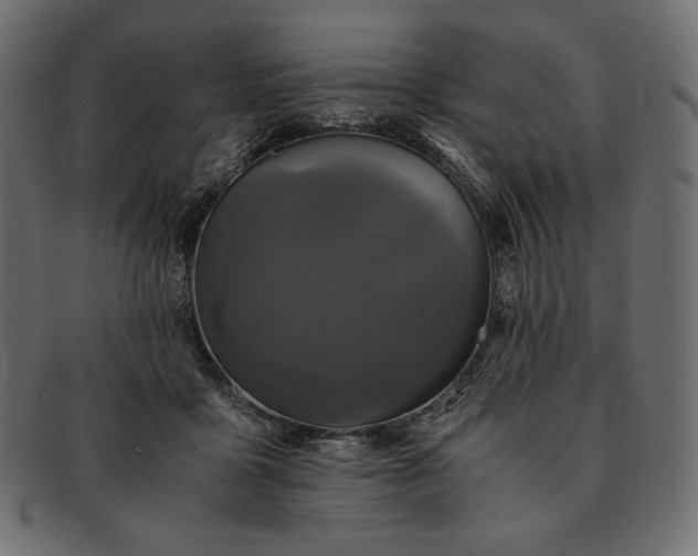 X0000091710411200709071417