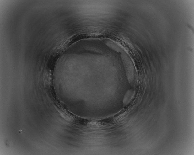 X0000091710413200709071417