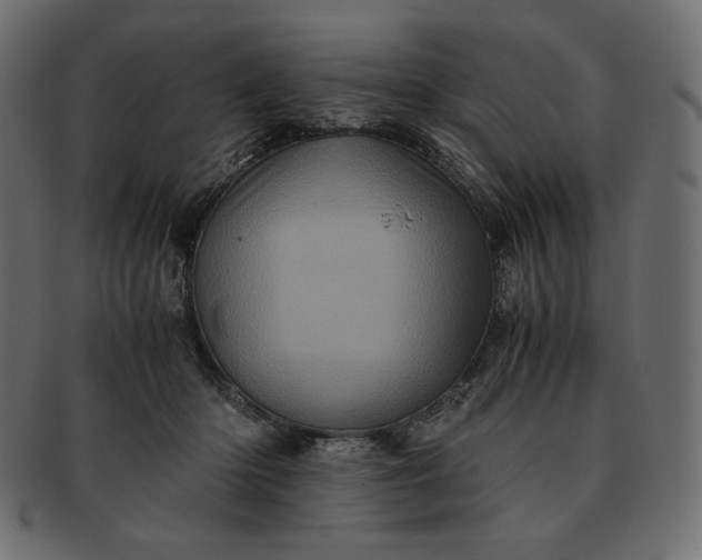 X0000091710414200709071417