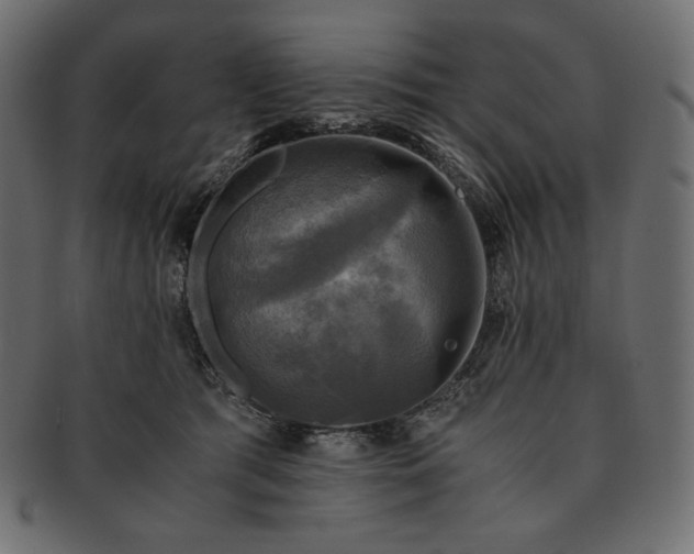 X0000091710417200709071417