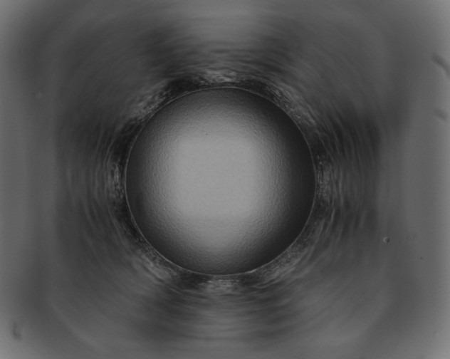 X0000091710418200709071417