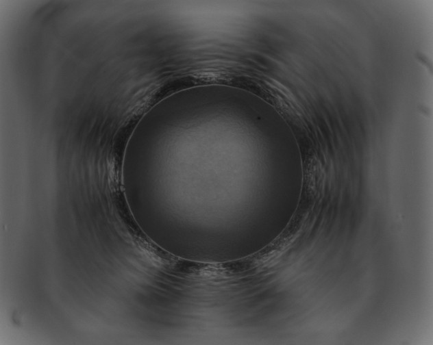 X0000091710420200709071417