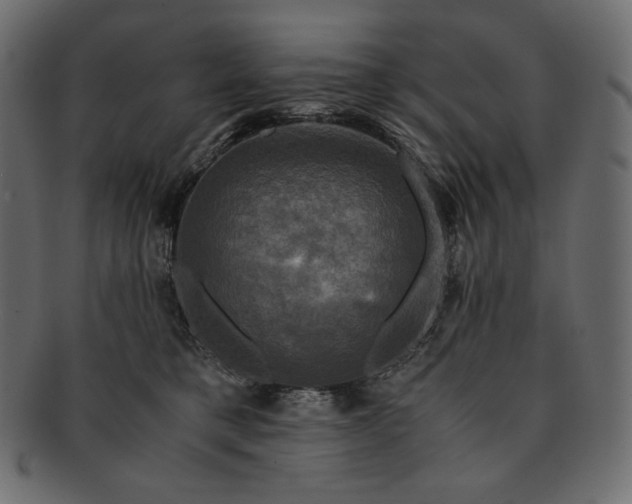 X0000091710421200709071417