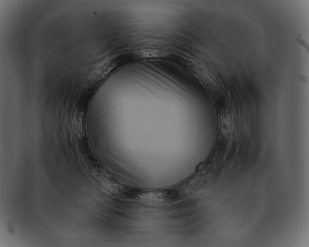 X0000091710422200709071417