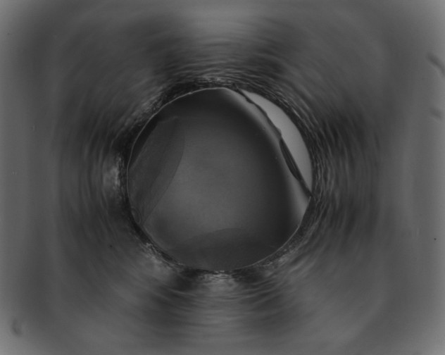 X0000091710424200709071417