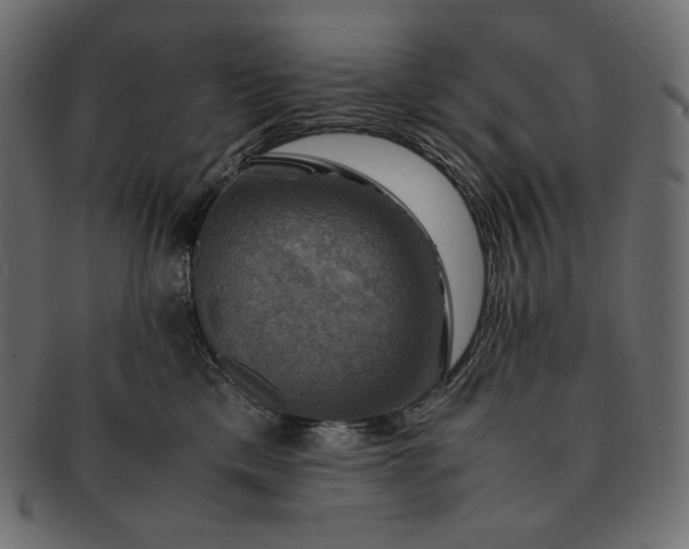 X0000091710425200709071416