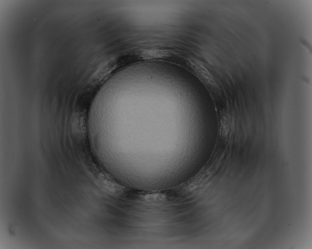 X0000091710426200709071416