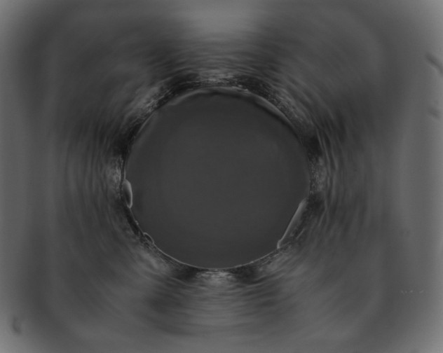 X0000091710427200709071416