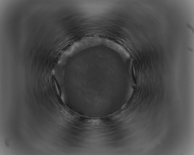 X0000091710428200709071416