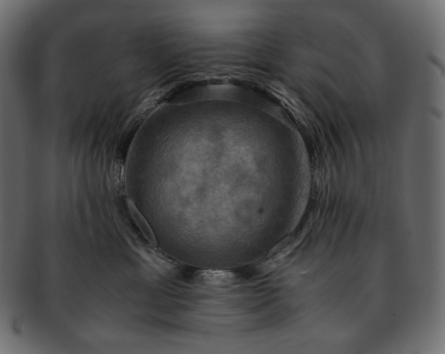 X0000091710429200709071416