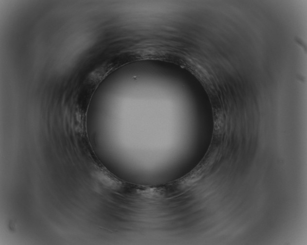 X0000091710430200709071416