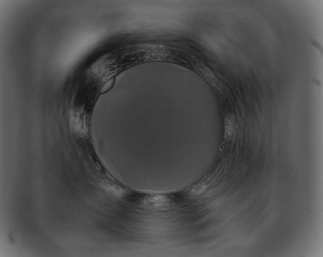 X0000091710431200709071416