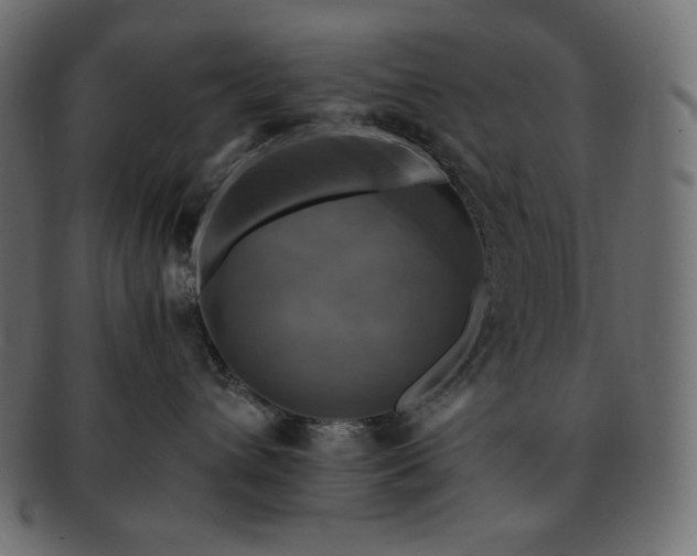 X0000091710432200709071416