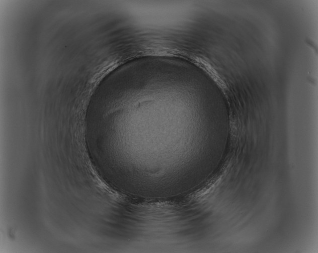 X0000091710433200709071416