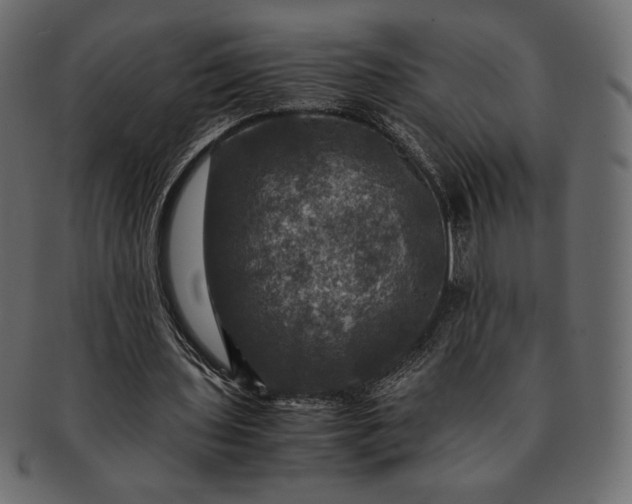 X0000091710435200709071416