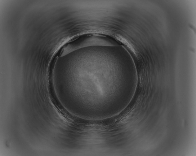 X0000091710436200709071416