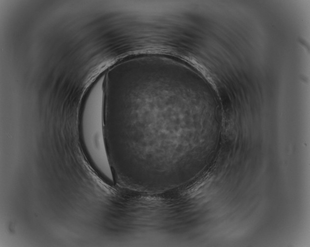 X0000091710437200709071416