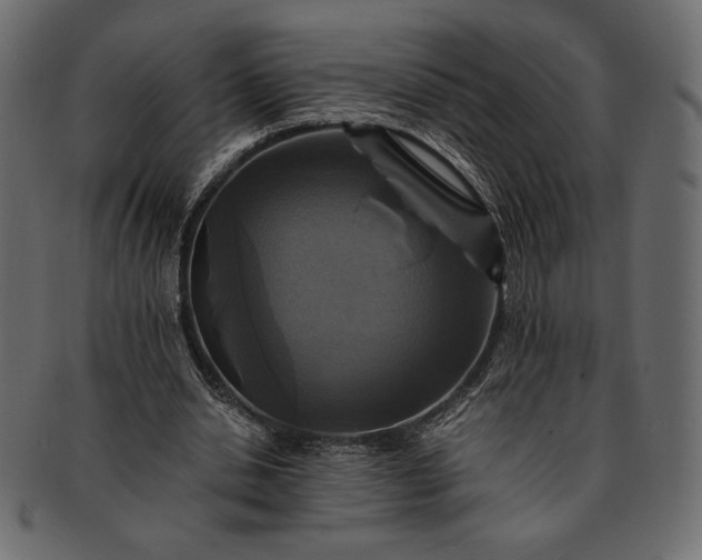 X0000091710438200709071416