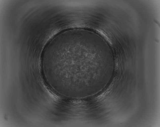 X0000091710439200709071416