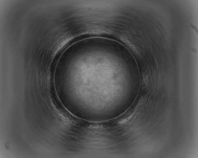 X0000091710440200709071416