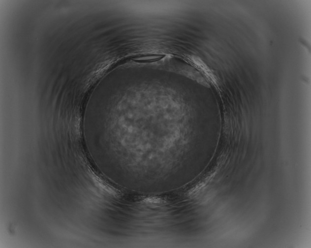 X0000091710441200709071416