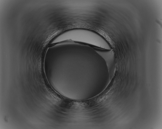 X0000091710442200709071416