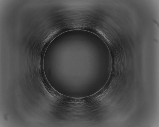 X0000091710443200709071416