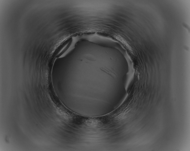 X0000091710444200709071416