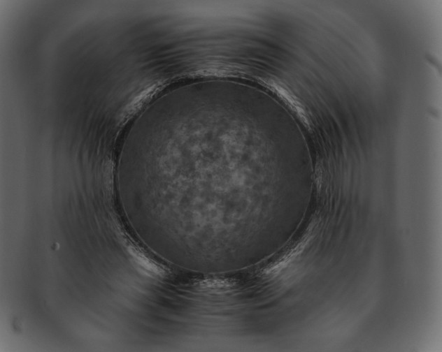 X0000091710445200709071416