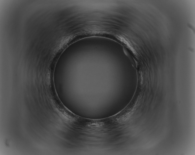 X0000091710447200709071416