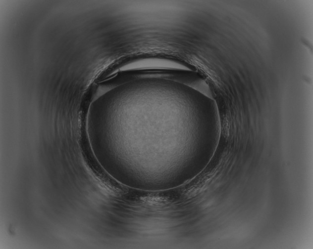 X0000091710448200709071416