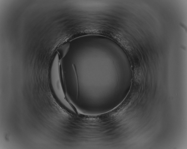 X0000091710449200709071416