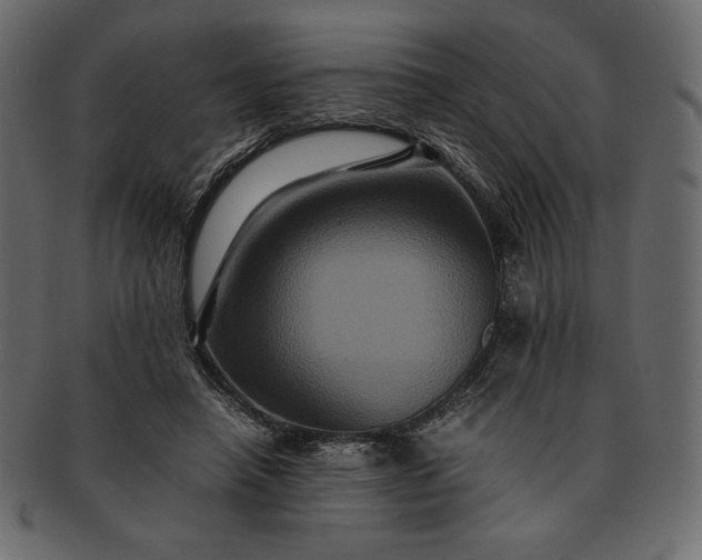 X0000091710450200709071416