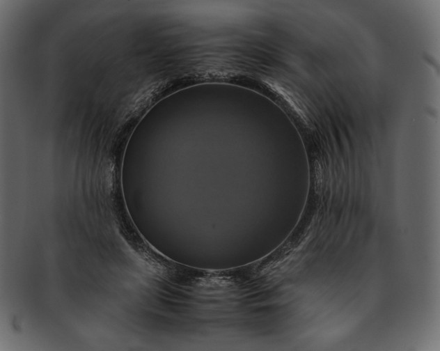 X0000091710451200709071416