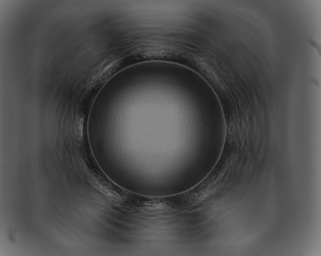 X0000091710454200709071416