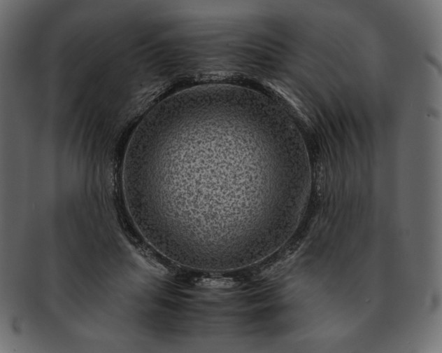 X0000091710455200709071416